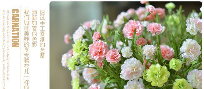 康乃馨的含义与象征（花海中的坚强与美丽）