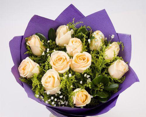 香槟玫瑰花的象征意义（了解香槟玫瑰花的美与寓意）