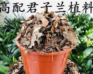 椰糠土适合种植兰花吗？使用椰糠土种植兰花的正确方法是什么？