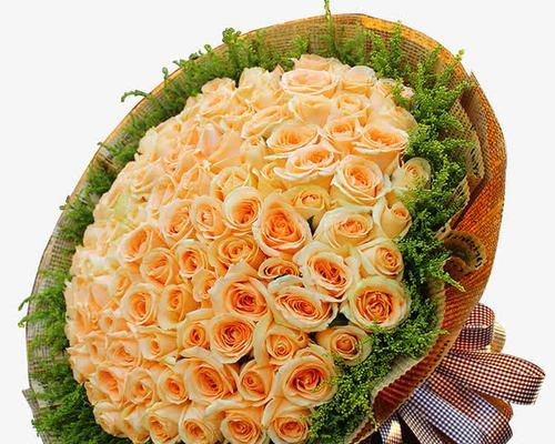 香槟色玫瑰花的意义及象征（探究香槟色玫瑰花的花语与象征意义）