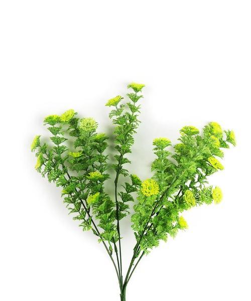 桃花属于有限花序吗？花序类型有哪些特点？