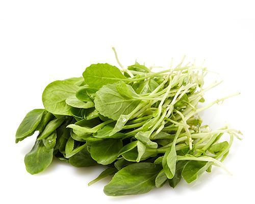 鸡毛菜是什么菜？它的营养价值和食用方法有哪些？