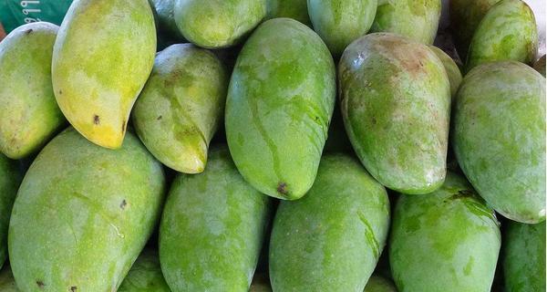 挑选芒果的技巧有哪些？如何辨别芒果的新鲜度和成熟度？