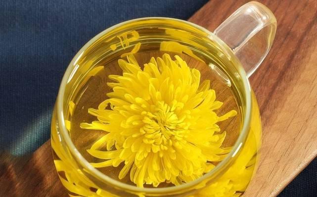 白菊配土方法是什么？种植土壤如何选择？