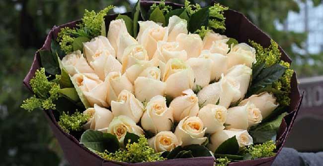 香槟色玫瑰花代表什么意思？购买时需要注意哪些事项？