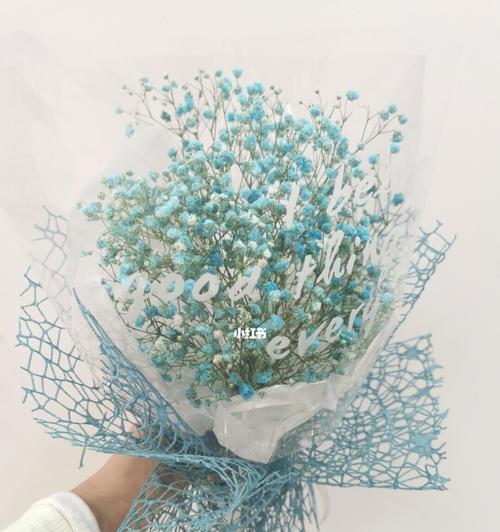 满天星的花语颜色与寓意（探索满天星花语的神秘世界）