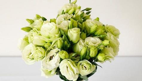 自信的花开放心间（以花语传递自信）