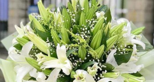 百合花的花语与美丽之旅（探索百合花的神秘语言）