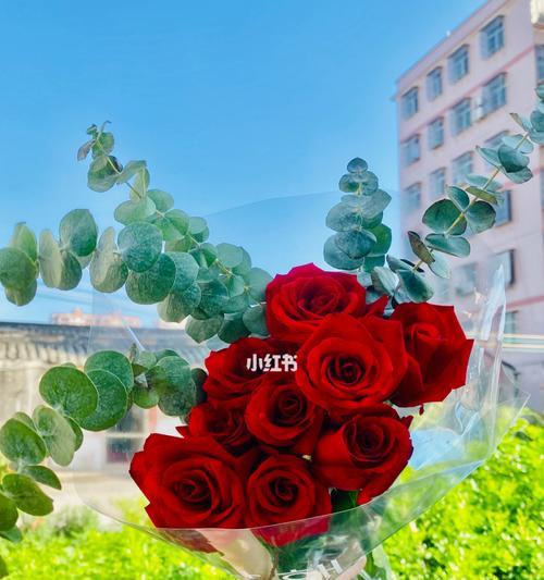 卡罗拉红玫瑰花语(用卡罗拉红玫瑰向心爱的人表达真挚情感) 卡罗拉红玫瑰花语(用卡罗拉红玫瑰向心爱的人表达真挚情感)