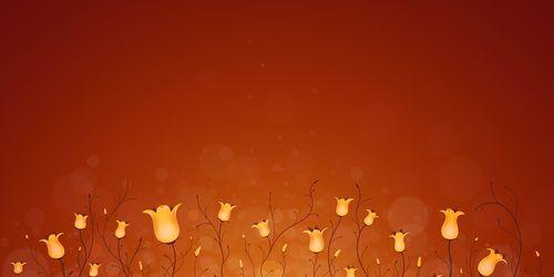 橙色风信子的花语(橙色风信子) 橙色风信子的花语(橙色风信子)