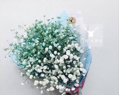 满天星花束（明亮璀璨的满天星花束如何传达深情祝福）