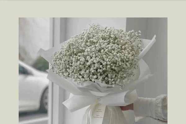 满天星花束（明亮璀璨的满天星花束如何传达深情祝福）