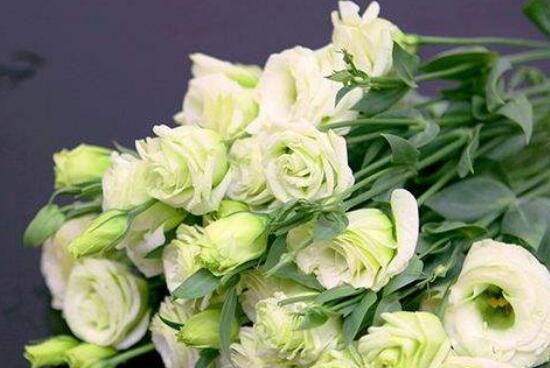 洋桔梗的花语和寓意（洋桔梗花的美丽与深意）