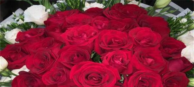 仰慕之花（绽放的崇拜）