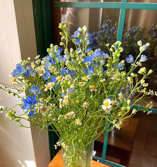 日系绿色切花小菊花语（细数小菊的十五种花语）