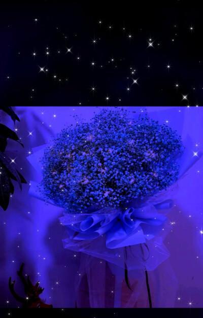 蓝色满天星花语与寓意(揭示花海中的浪漫与神秘) 蓝色满天星花语与寓意(揭示花海中的浪漫与神秘)