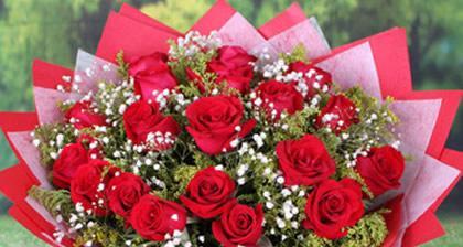 香港旗帜的花卉及象征意义（揭秘香港旗帜上的花朵是什么）