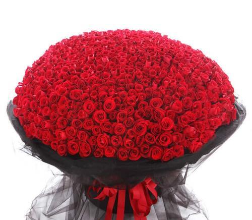 红玫瑰的含义（情爱之花--红玫瑰）