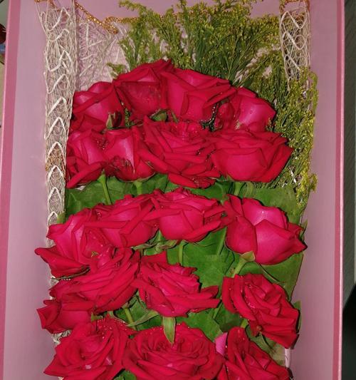 红玫瑰的含义（情爱之花--红玫瑰）