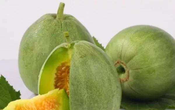 白兰瓜怎么挑选好吃的?挑选技巧和常见问题解答 白兰瓜怎么挑选好吃的?挑选技巧和常见问题解答