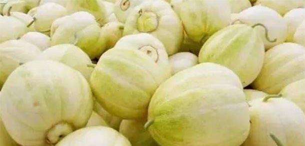 白兰瓜怎么挑选好吃的?挑选技巧和常见问题解答 白兰瓜怎么挑选好吃的?挑选技巧和常见问题解答