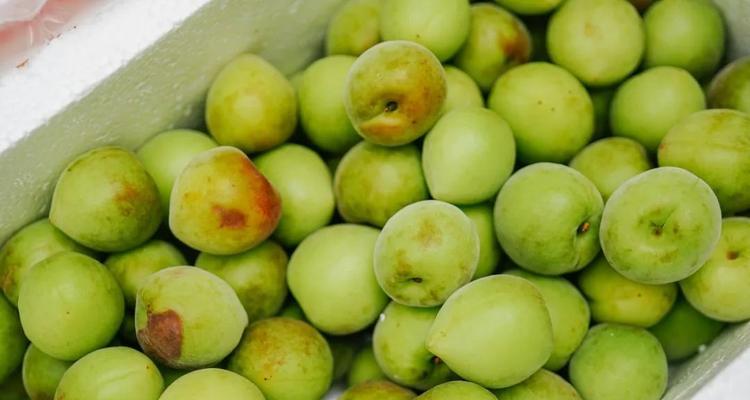 梅子清洗方法有哪些？如何确保梅子洗得干净又卫生？