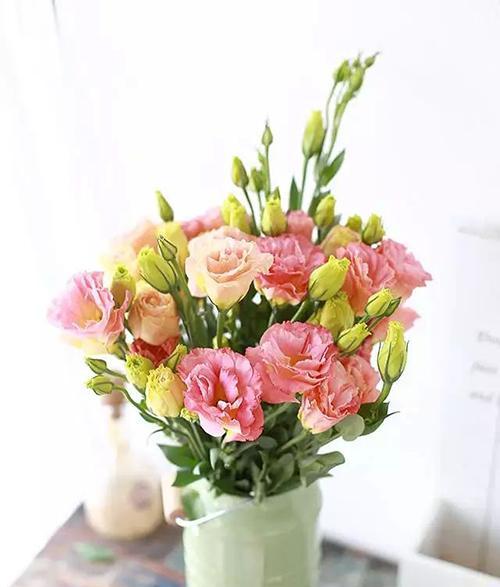 洋桔梗的花语和寓意(洋桔梗花语之美) 洋桔梗的花语和寓意(洋桔梗花语之美)