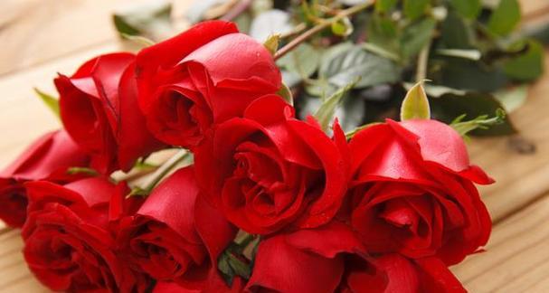 玫瑰花的花语与意义(探寻玫瑰花的浪漫与深意) 玫瑰花的花语与意义(探寻玫瑰花的浪漫与深意)