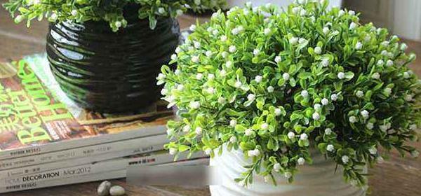 米兰花的花语意义（探索米兰花所代表的情感和寓意）