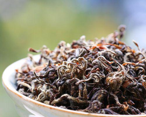 老鹰茶的叶子来自哪种树？老鹰茶的叶子有何特点？