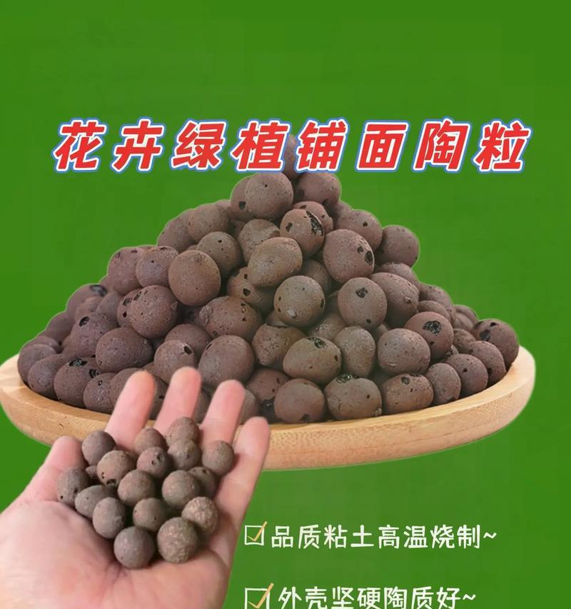 陶粒适合养什么花?陶粒在花卉种植中的优势是什么? 陶粒适合养什么花?陶粒在花卉种植中的优势是什么?