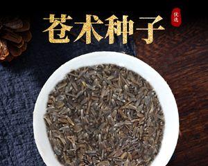 苍术种子如何正确采收保存？留种技巧有哪些？