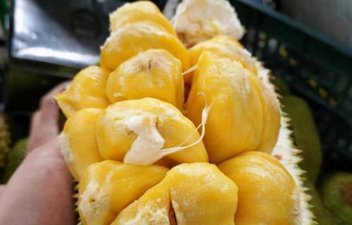 榴莲好吃吗？吃起来是什么味道和口感？