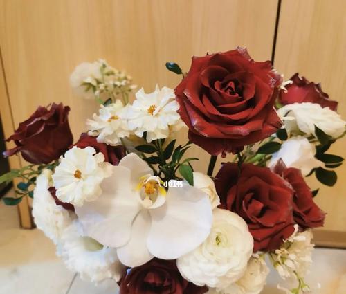 红玫瑰与白玫瑰（红玫瑰和白玫瑰的代表意义及情感表达方式）