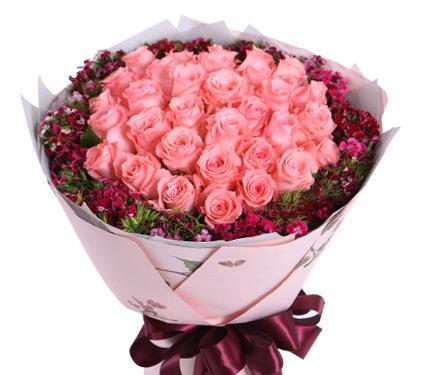 33朵玫瑰的花语之美(解读33朵玫瑰所代表的深情表达)