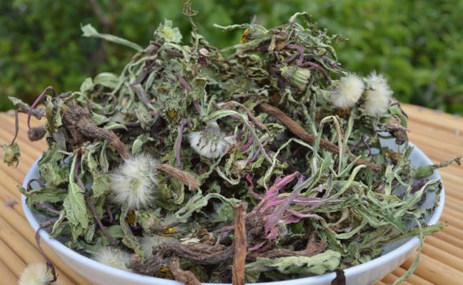 蒲公英的根可以食用吗？食用蒲公英根的正确方法是什么？