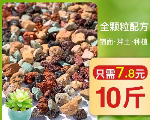 火山岩适合种植哪些植物？如何利用火山岩提高植物生长？