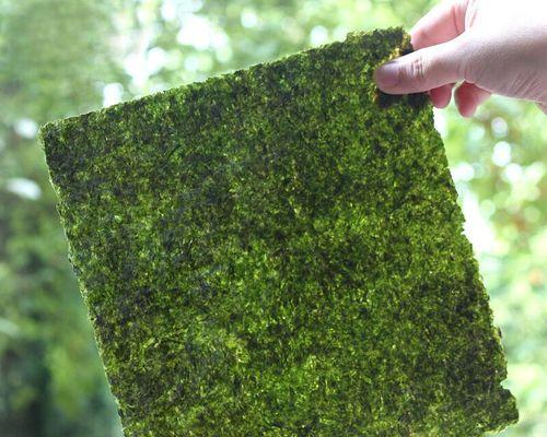 海苔属于什么植物类别？海苔的分类和特性是什么？