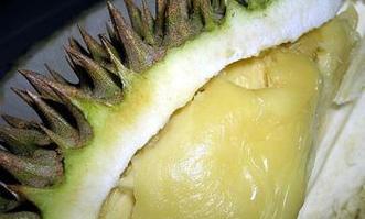 榴莲种子怎么吃法？有哪些健康吃法推荐？