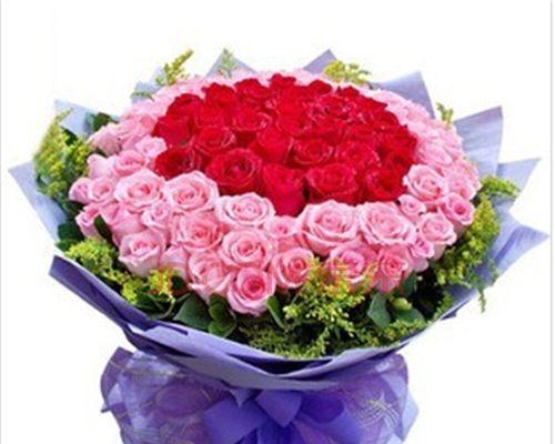 红玫瑰与粉玫瑰的寓意与象征（玫瑰花的美丽与爱情永恒）