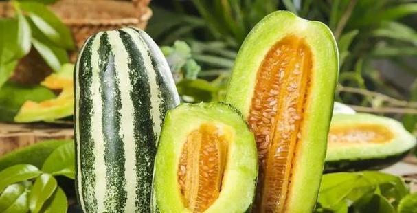 香瓜种植时应该选择阴凉还是阳光充足的地方？