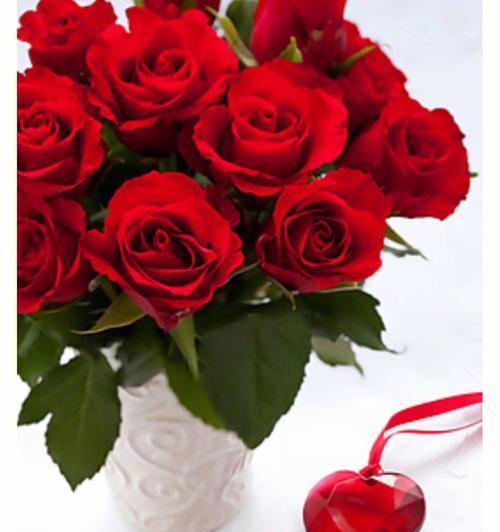 玫瑰花数量背后的象征意义（揭示玫瑰花数量的隐含信息）