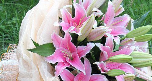 百合花的寓意与象征（百合花送几朵）