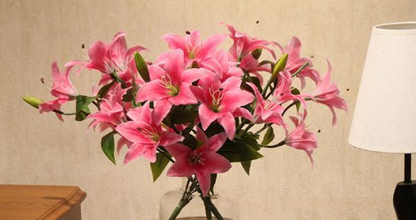 百合花的寓意与象征（百合花送几朵）