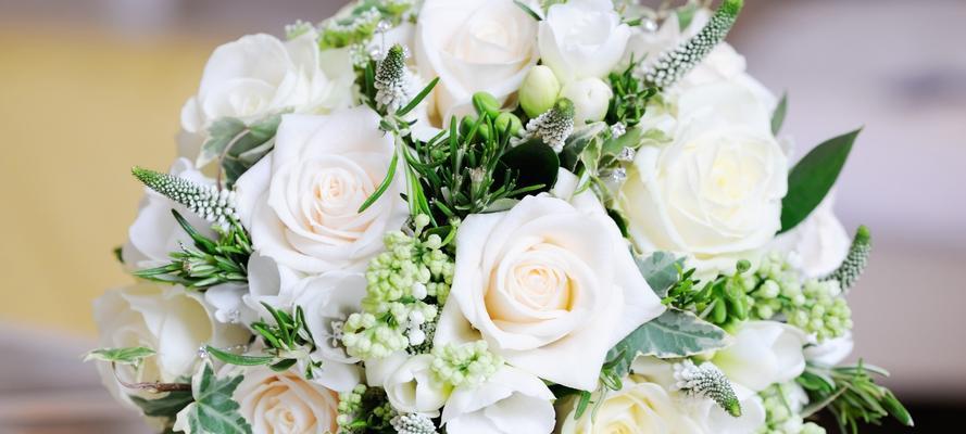 白玫瑰的花语——纯洁与爱情的象征（白玫瑰的含义及其在不同场合的传达方式）