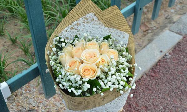 香槟玫瑰的寓意与象征（探寻香槟玫瑰的深层内涵）