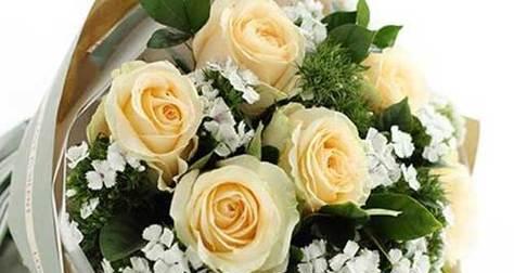 香槟玫瑰的寓意与象征（探寻香槟玫瑰的深层内涵）