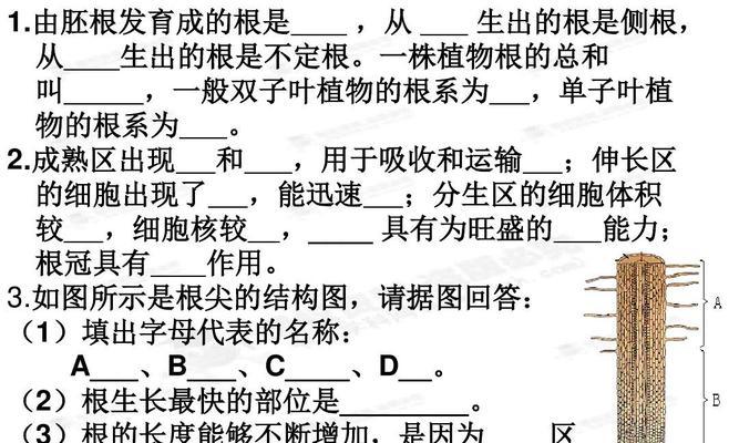 葱是一年生还是多年生植物？如何区分和管理？