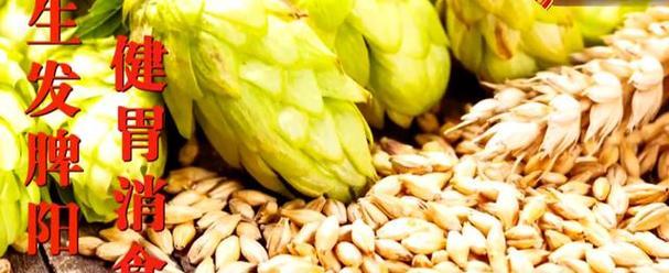 葱是一年生还是多年生植物？如何区分和管理？