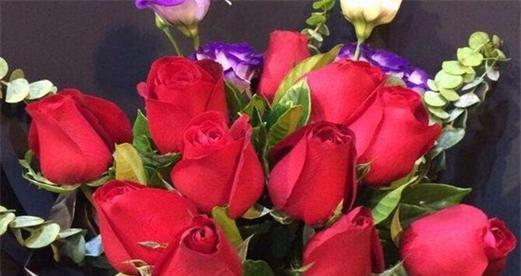 玫瑰花的朵数与含义(探索玫瑰花朵数与情感之间的联系)